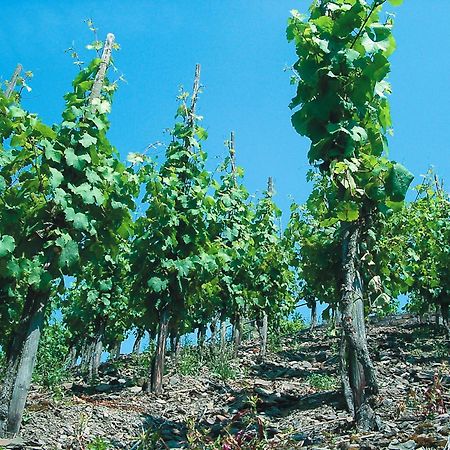 Weinhotel Hubertus Garni Klotten Kültér fotó