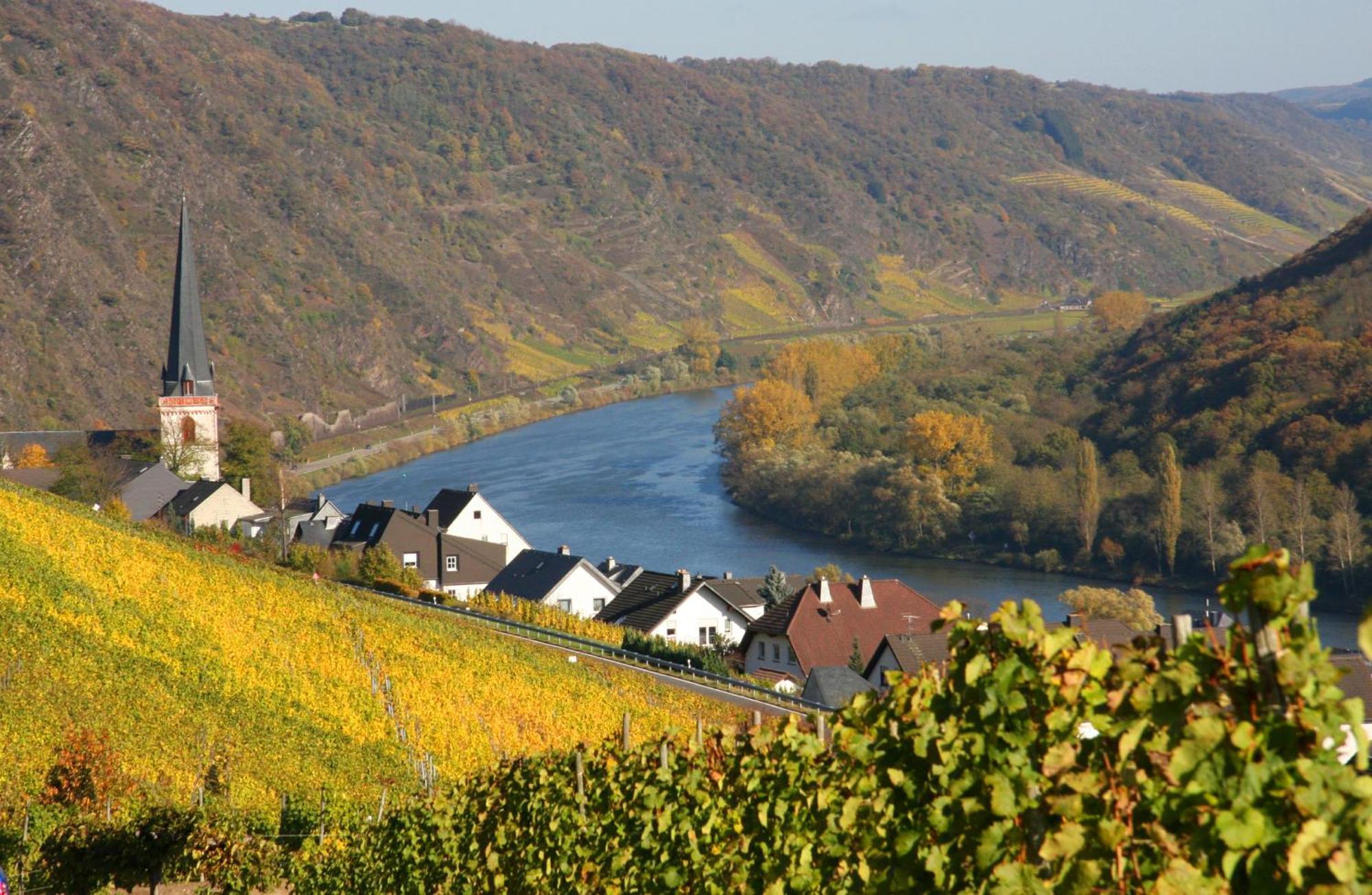 Weinhotel Hubertus Garni Klotten Kültér fotó