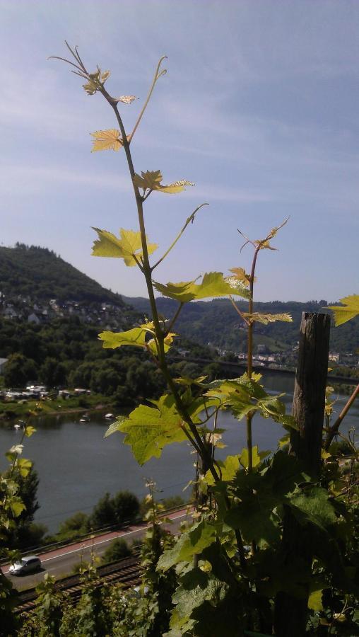 Weinhotel Hubertus Garni Klotten Kültér fotó
