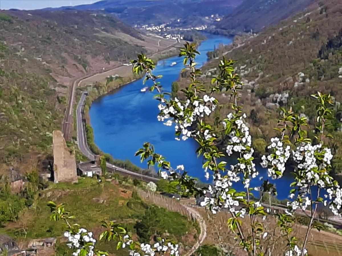 Weinhotel Hubertus Garni Klotten Kültér fotó